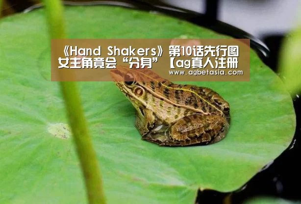 游戏账户